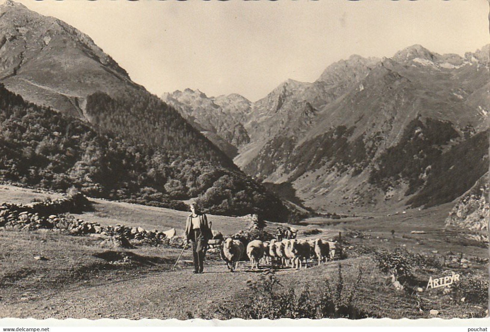 AA+ 93-(65) HAUTE VALLEE D'ESTAING - JEUNE BERGER AVEC TROUPEAU DE MOUTONS - Viehzucht