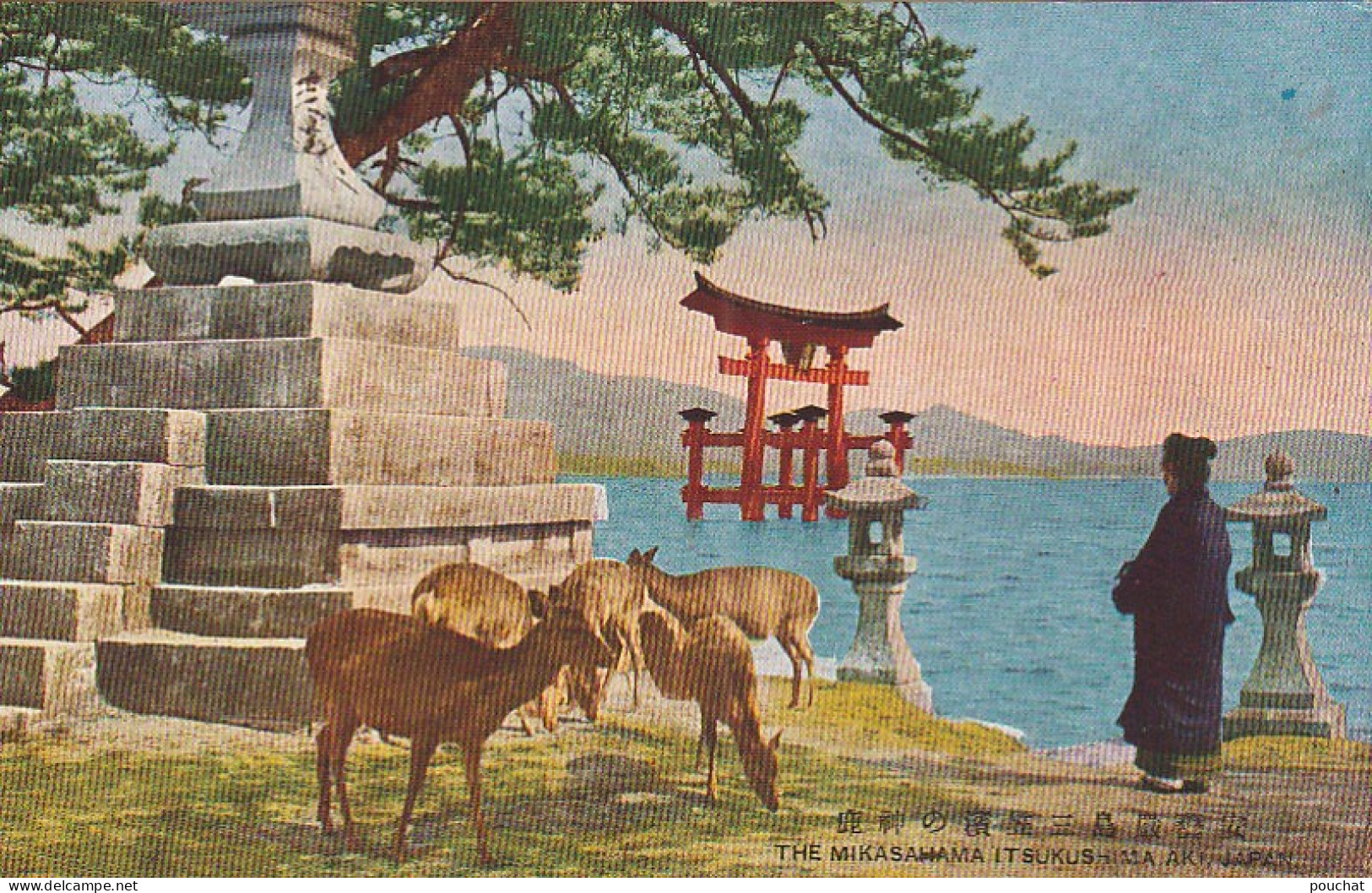 AA+ 94- ( JAPAN ) - THE MIKASAHAMA ITSUKUSHIMA AKI - Sonstige & Ohne Zuordnung