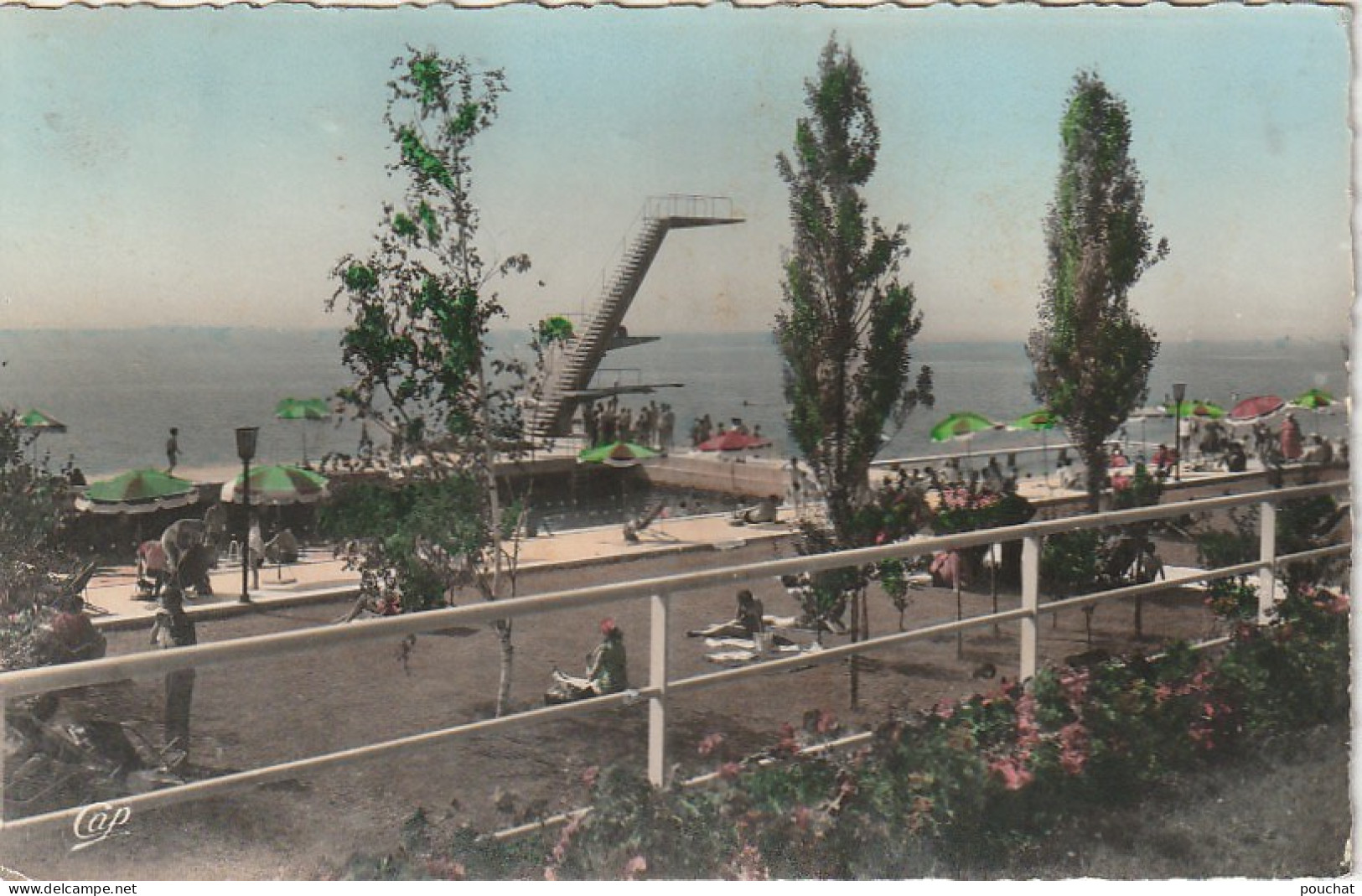 AA+ 99-(74) THONON LES BAINS - LA PLAGE - ANIMATION - PLONGEOIR - CARTE COULEURS - Thonon-les-Bains