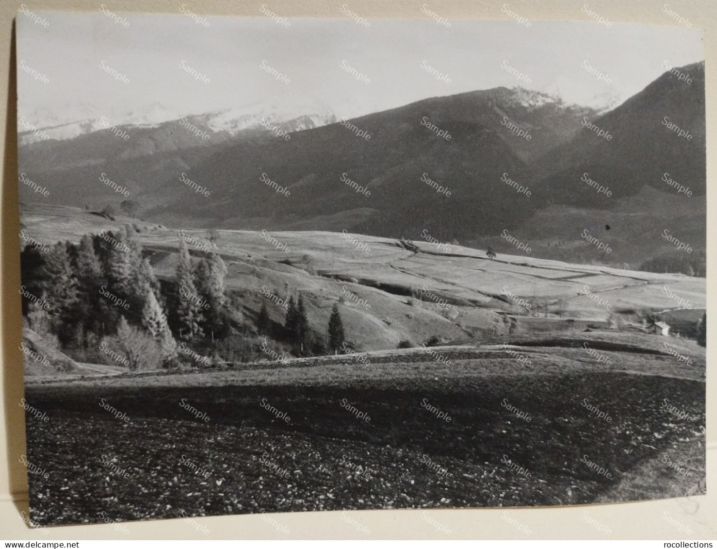 Italia 1963 VARENA Val Di Fiemme Dolomiti - Europa