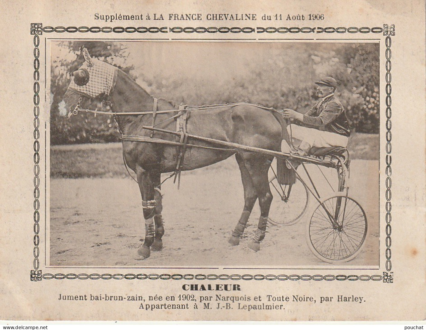 AA+ - " CHALEUR " - JUMENT APPARTENANT A  M. J. B. LEPAULMIER - SUPPLEMENT " FRANCE CHEVALINE " ( 11 AOUT 1906 ) - SULKY - Reitsport