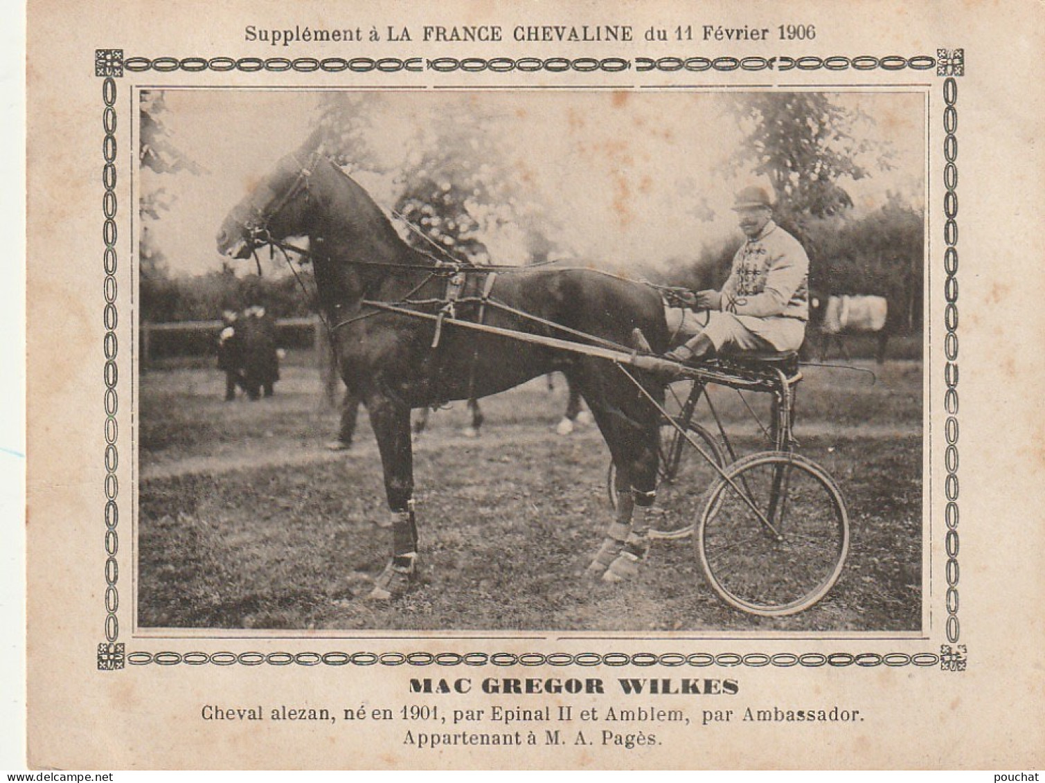AA+ - " MAC GREGOR WILKES " - CHEVAL ALEZAN APPARTENANT A M. A. PAGES - SUPPL. " FRANCE CHEVALINE " , FEV. 1906 - SULKY - Reitsport