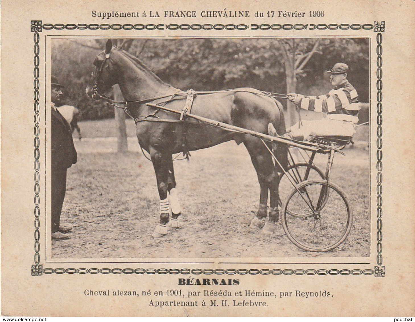 AA+ - " BEARNAIS " - CHEVAL ALEZAN APPARTENANT A M. H. LEFEVRE - SUPPL. " FRANCE CHEVALINE " , FEV. 1906 - SULKY - Paardensport