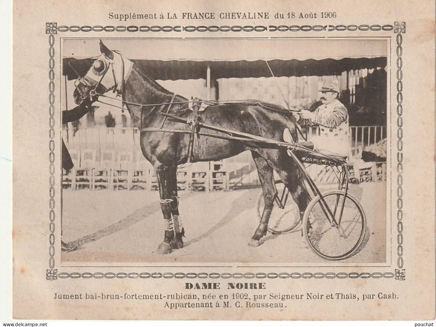 AA+ - " DAME NOIRE " - JUMENT BAI BRUN APPARTENANT A M. C. ROUSSEAU - SUPPL. " FRANCE CHEVALINE " , AOUT 1906 - SULKY - Paardensport