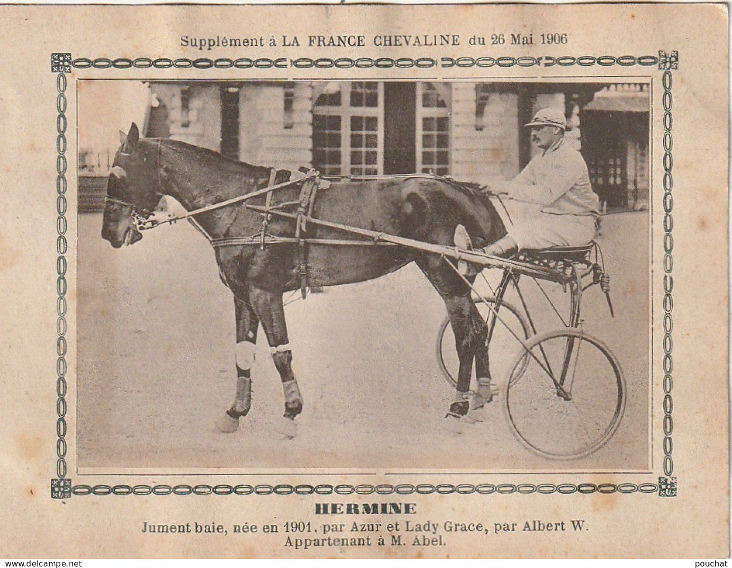 AA+ - " HERMINE " - JUMENT BAIE APPARTENANT A M. ABEL - SUPPL. " FRANCE CHEVALINE " , MAI 1906 - SULKY - Reitsport