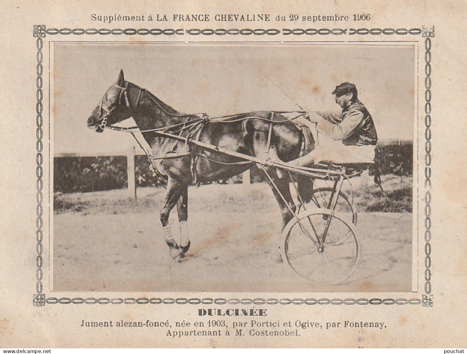 AA+ - " DULCINEE " - JUMENT ALEZANE APPARTENANT A M. COSTENOBEL - SUPPL. " FRANCE CHEVALINE " , SEPTEMBRE 1906 - SULKY - Reitsport