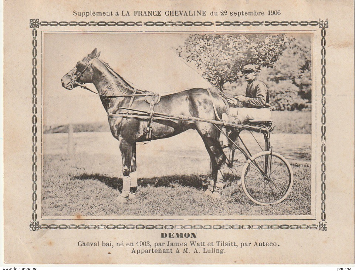 AA+ - " DEMON " - CHEVAL BAI APPARTENANT A M. A. LULING - SUPPL. " FRANCE CHEVALINE " , SEPTEMBRE 1906 - SULKY - Reitsport