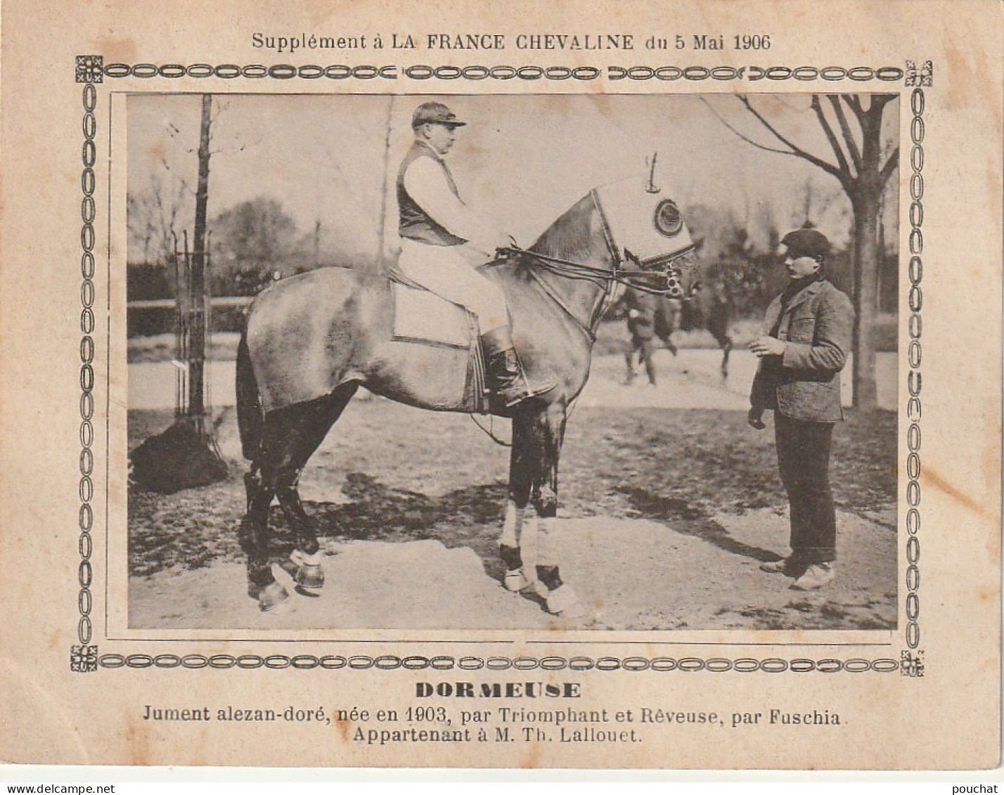 AA+ - " DORMEUSE " - JUMENT ALEZAN APPARTENANT A M. TH. LALLOUET - SUPPL. " FRANCE CHEVALINE " MAI 1906 - Paardensport