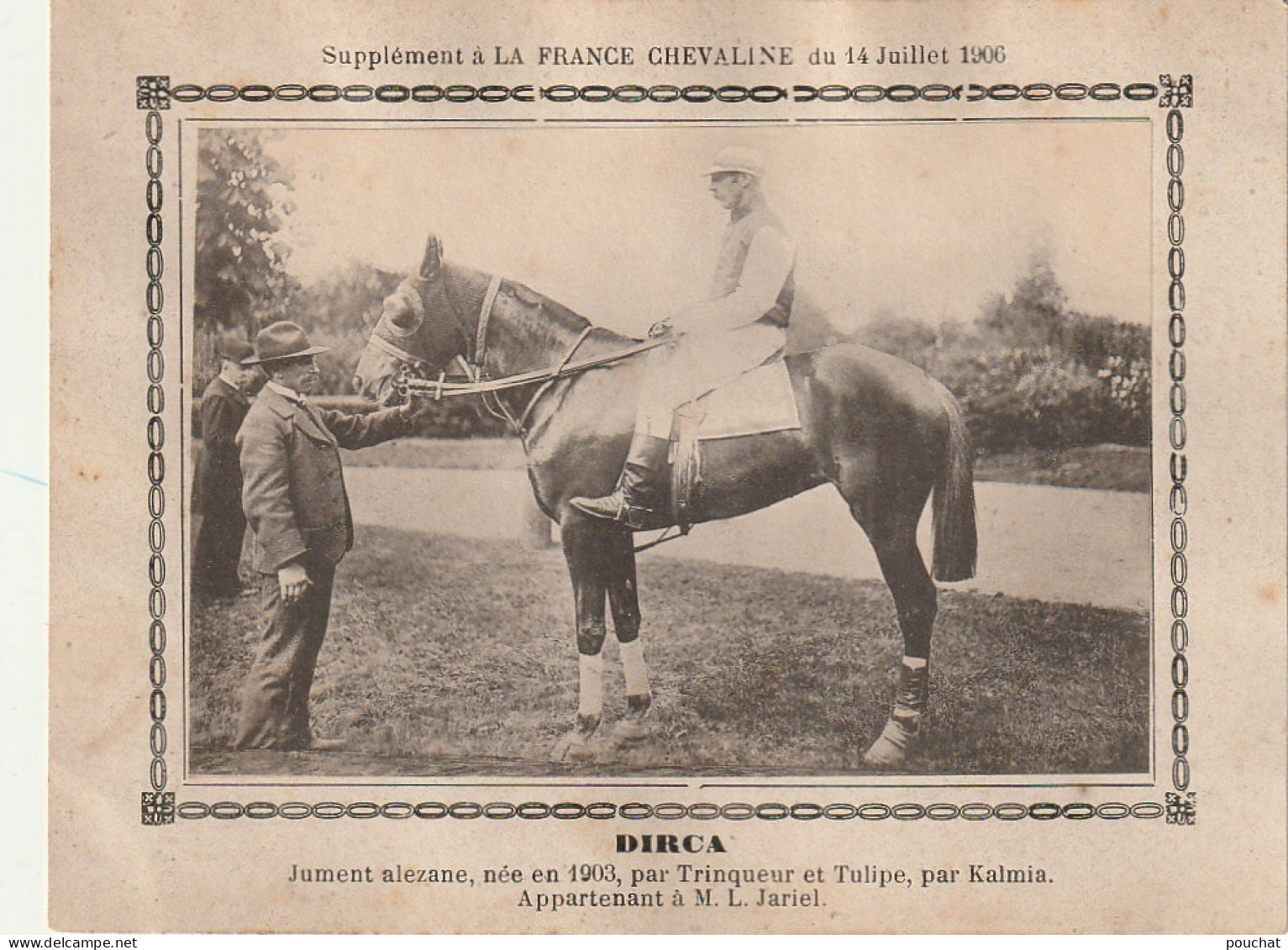 AA+ - " DIRCA " - JUMENT ALEZANE APPARTENANT A M. L. JARIEL - SUPPL. " FRANCE CHEVALINE " JUILLET 1906 - Horse Show