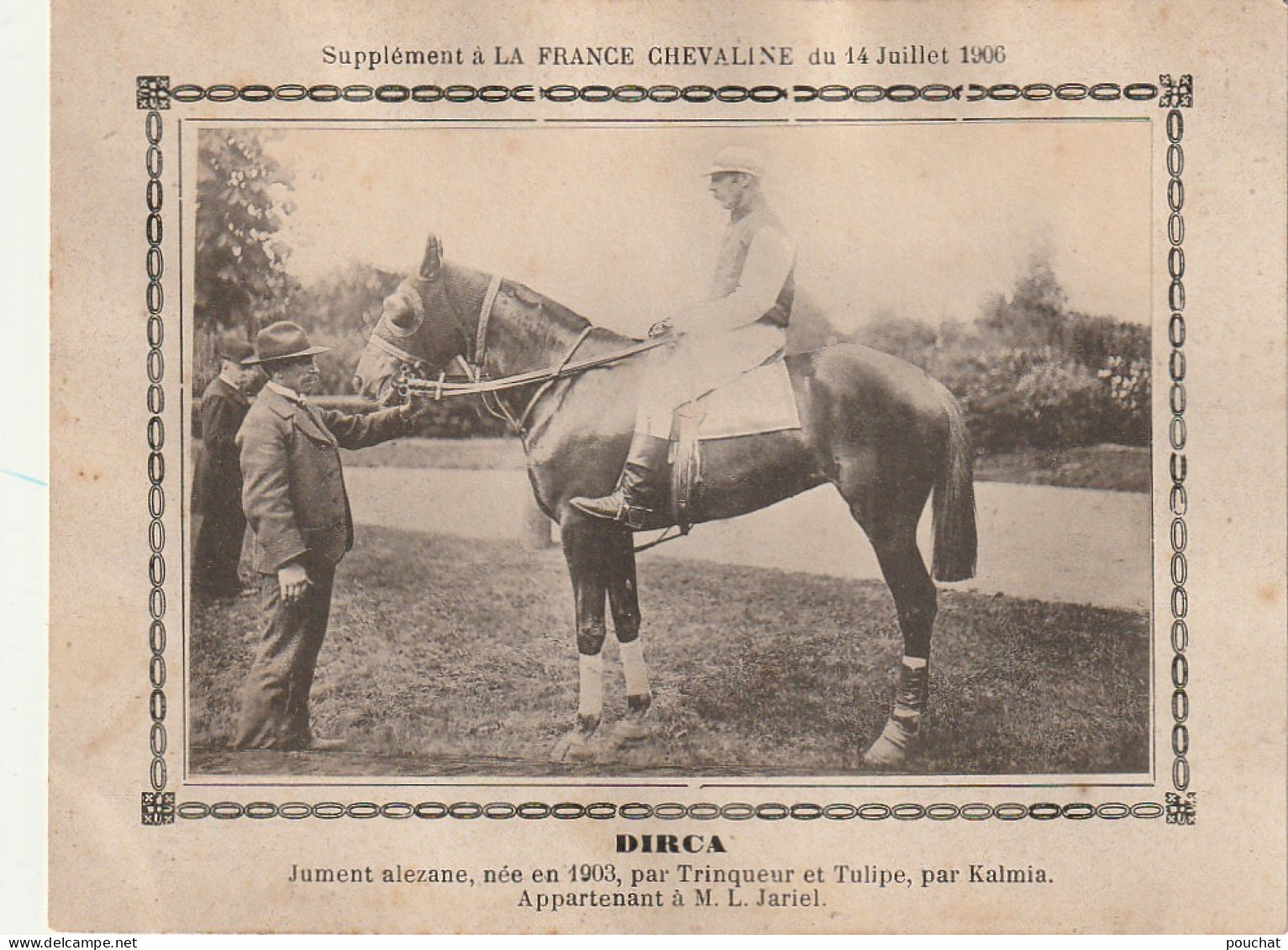 AA+ - " DIRCA " - JUMENT ALEZANE APPARTENANT A M. L. JARIEL - SUPPL. " FRANCE CHEVALINE " JUILLET 1906 - Hippisme