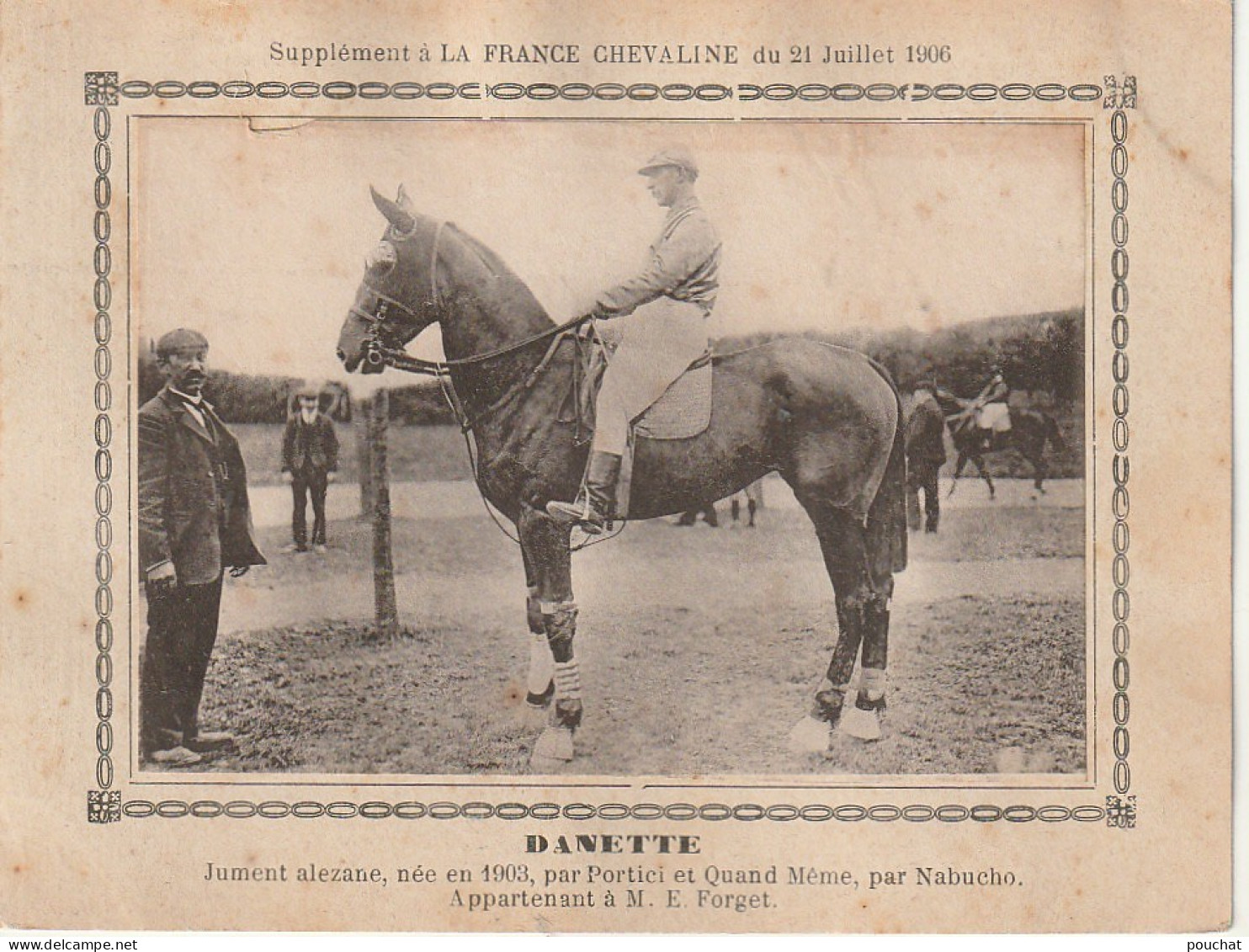 AA+ - " DANETTE " - JUMENT ALEZANE APPARTENANT A M. E. FORGET - SUPPL. " FRANCE CHEVALINE " JUILLET 1906 - Hípica