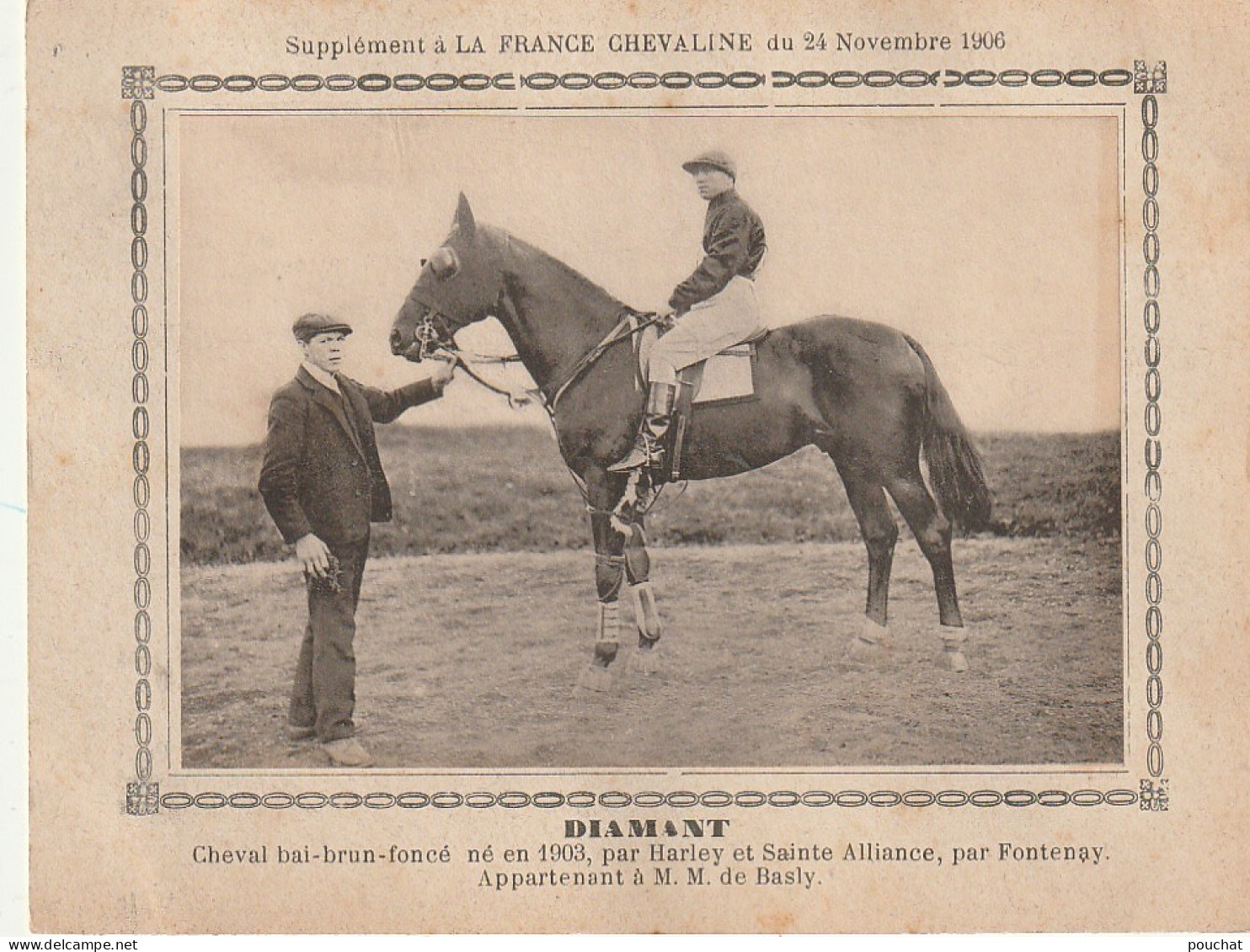 AA+ - " DIAMANT " - CHEVAL BAI APPARTENANT A M. M. DE BASLY - SUPPL. " FRANCE CHEVALINE " NOVEMBRE 1906 - Paardensport