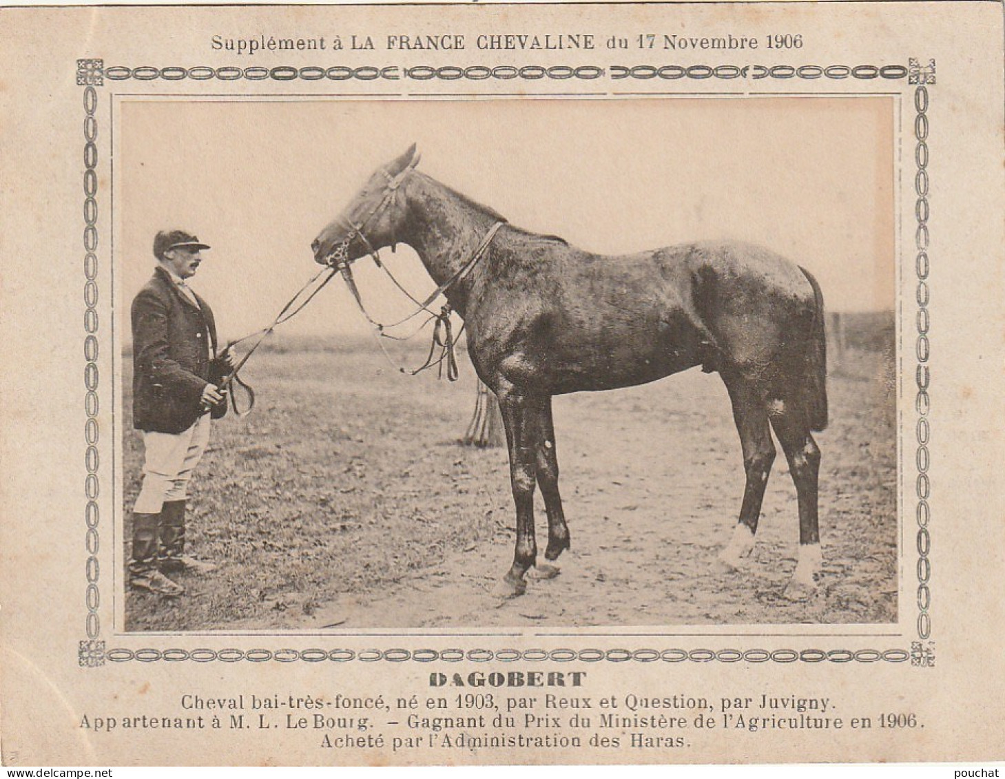 AA+ - " DAGOBERT " - CHEVAL BAI APPARTENANT A M. L. LE BOURG - SUPPL. FRANCE CHEVALINE NOVEMBRE 1906 - Reitsport