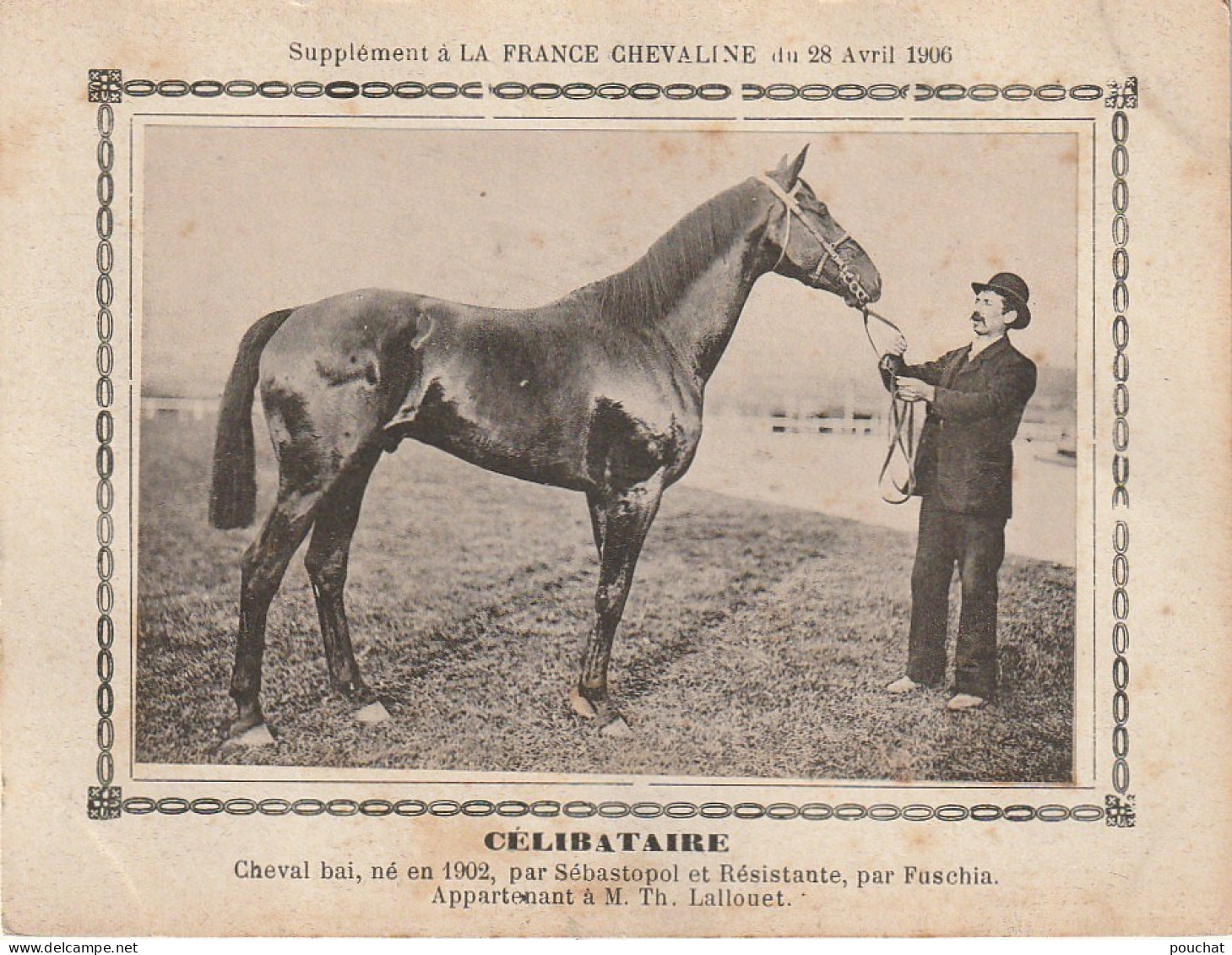 AA+ - " CELIBATAIRE " - CHEVAL BAI APPARTENANT A M. TH. LALLOUET - SUPPL. FRANCE CHEVALINE AVRIL 1906 - Hippisme