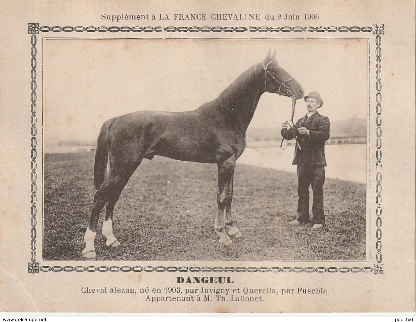 AA+ - " DANGEUL " - CHEVAL ALEZAN APPARTENANT A M. TH. LALLOUET - SUPPL. FRANCE CHEVALINE JUIN 1906 - Hípica