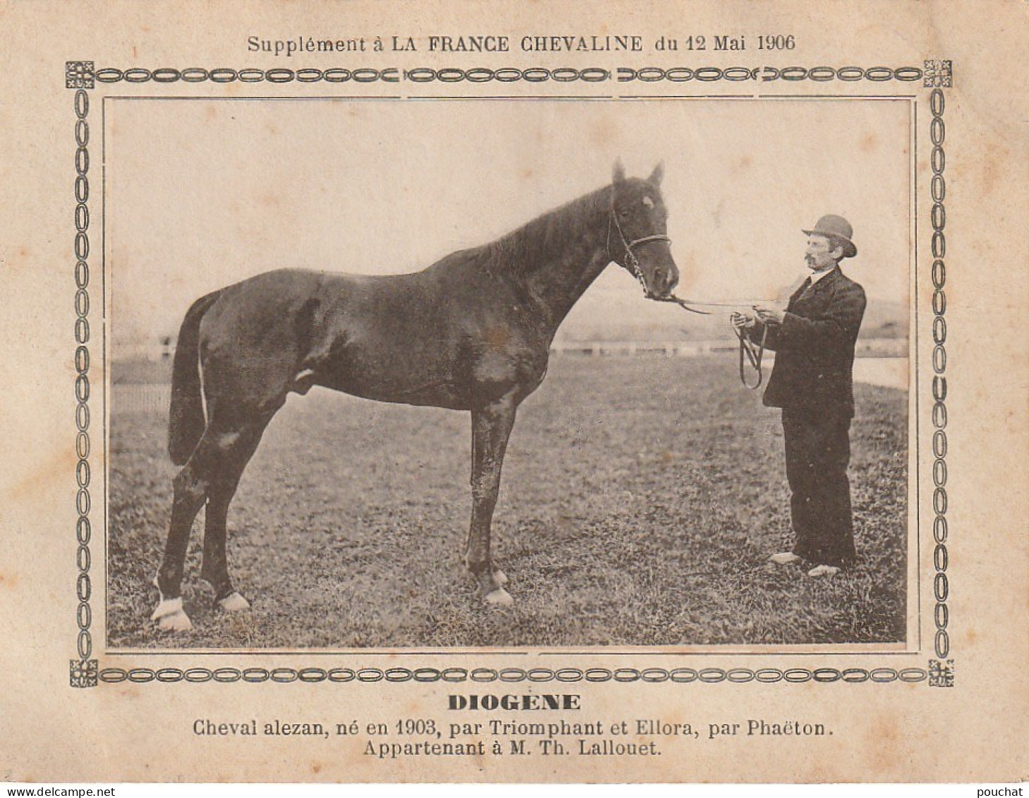 AA+ - " DIOGENE " - CHEVAL ALEZAN APPARTENANT A M. TH. LALLOUET - SUPPL. FRANCE CHEVALINE MAI 1906 - Hippisme