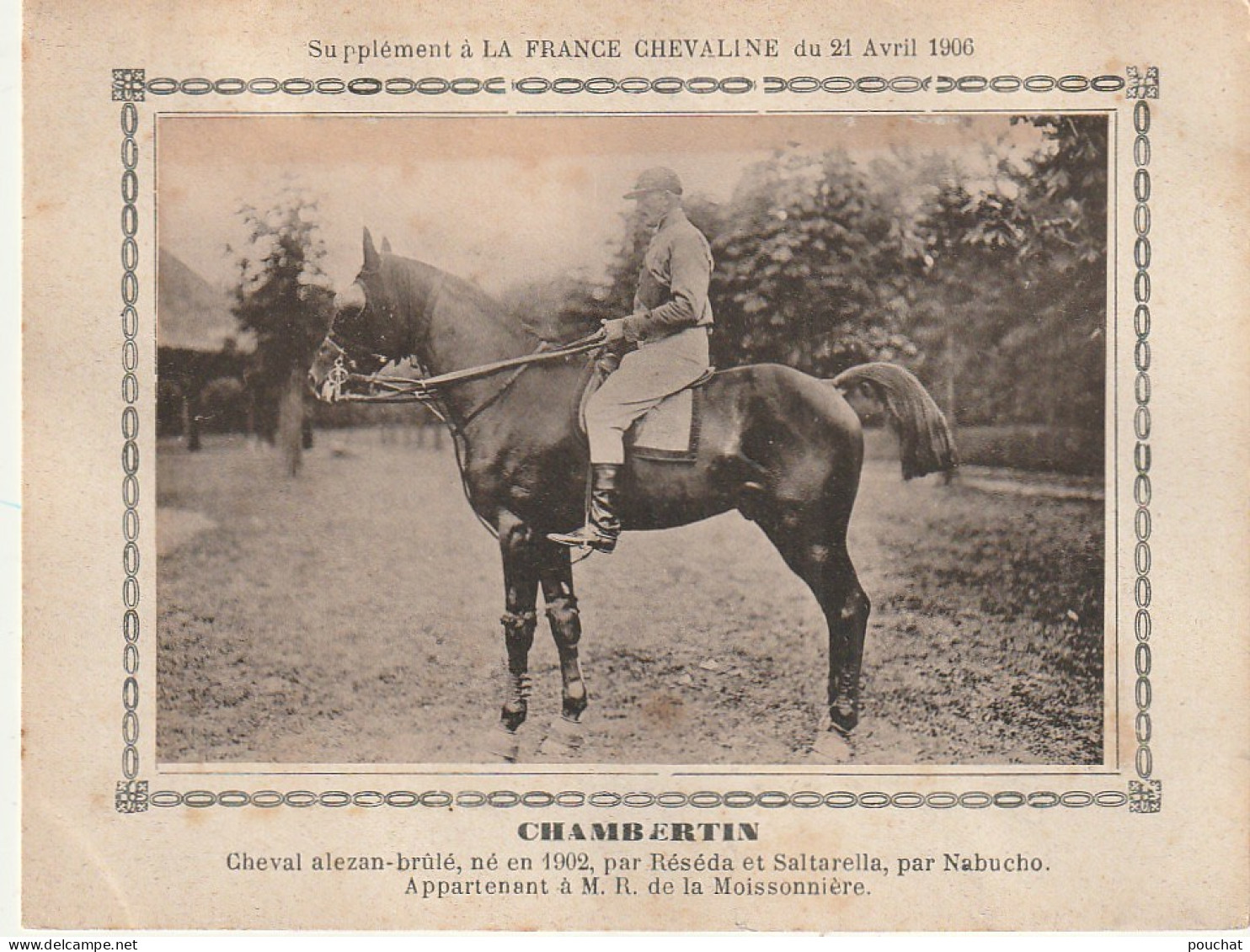 AA+ - " CHAMBERTIN " - CHEVAL ALEZAN BRULE APPARTENANT A M. R. DE LA MOISSONNIERE - SUPPL. FRANCE CHEVALINE AVRIL 1906 - Reitsport