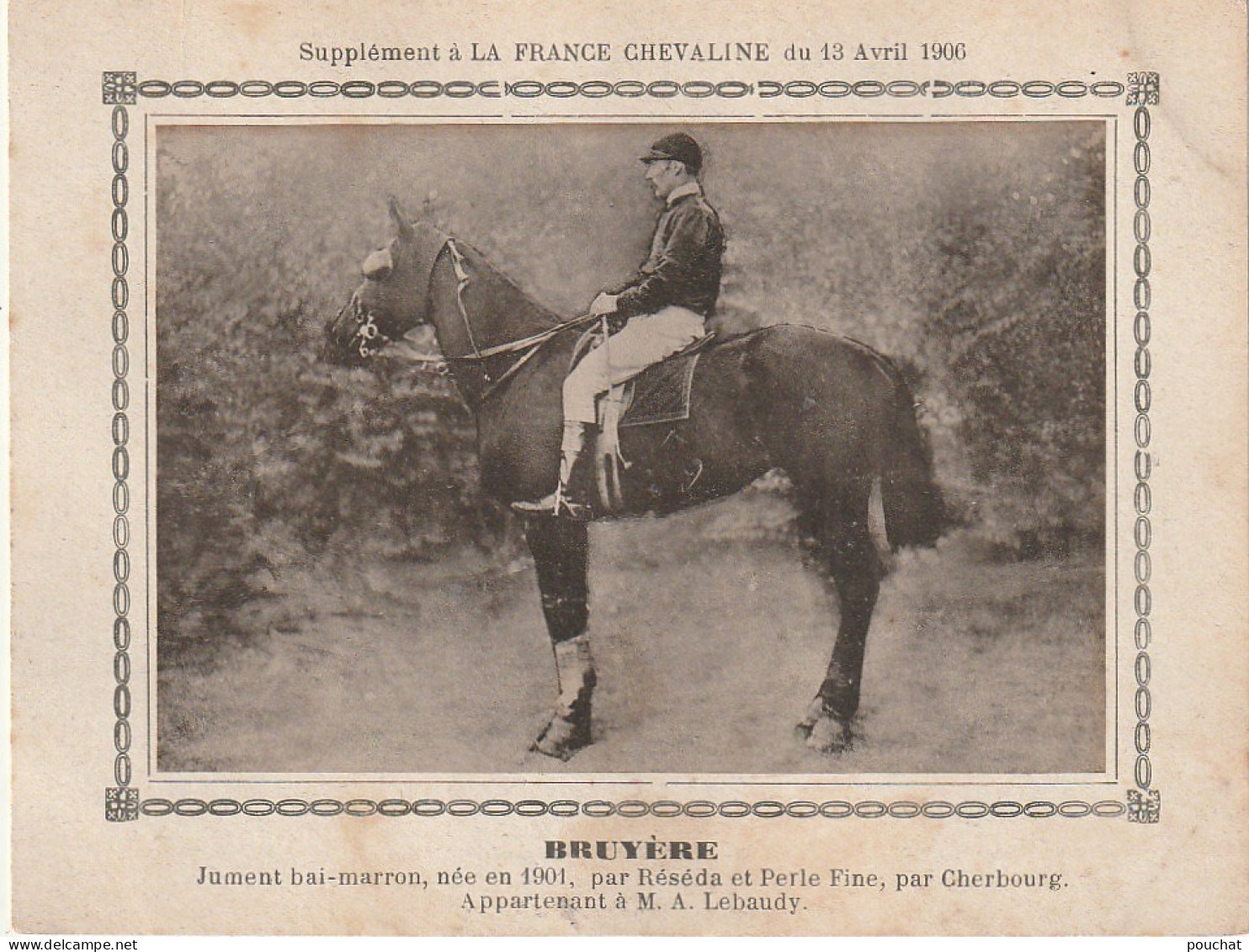 AA+ - " BRUYERE " - JUMENT BAI MARRON APPARTENANT A M. A. LEBAUDY - SUPPL. FRANCE CHEVALINE AVRIL 1906 - Paardensport