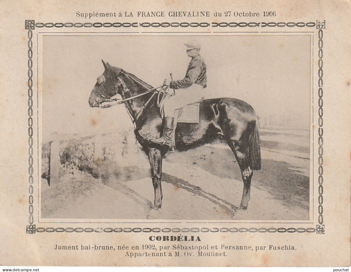 AA+ - " CORDELIA " - JUMENT BAI BRUNE APPARTENANT A M. OV. MOULINET - SUPPL. FRANCE CHEVALINE OCTOBRE 1906 - Reitsport