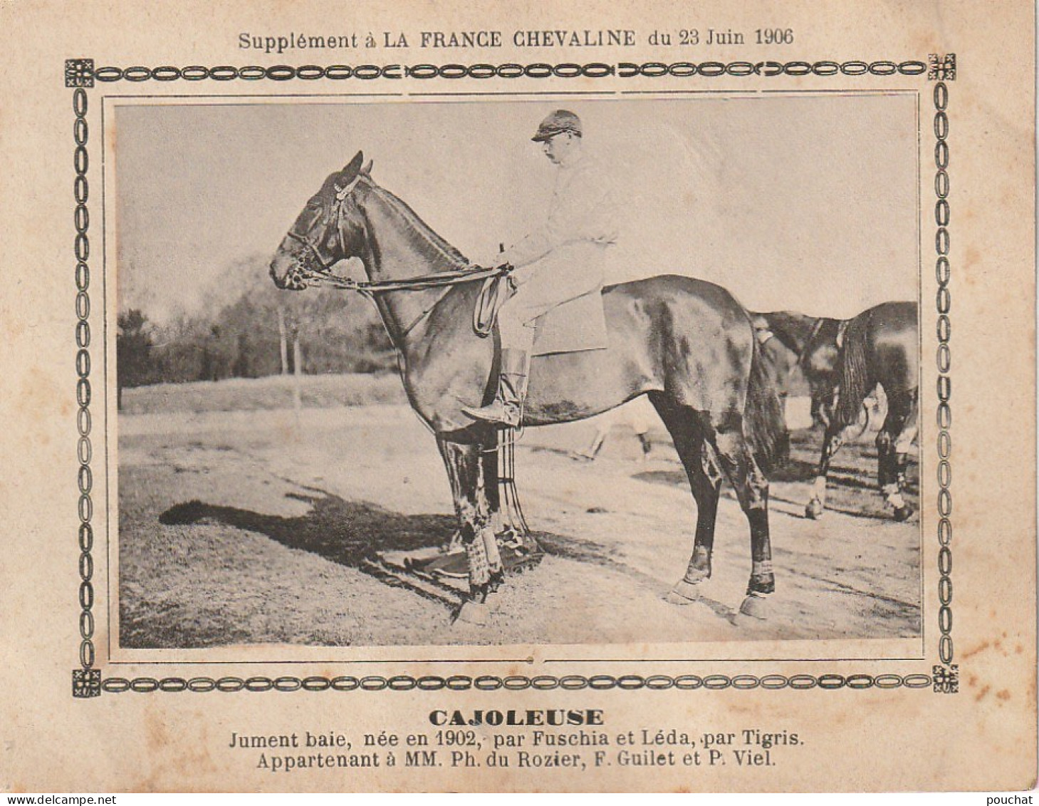 AA+ - " CAJOLEUSE " - JUMENT BAIE  APPARTENANT A MM. DU ROZIER , GUILET , VIEL - SUPPL. FRANCE CHEVALINE JUIN 1906 - Hippisme