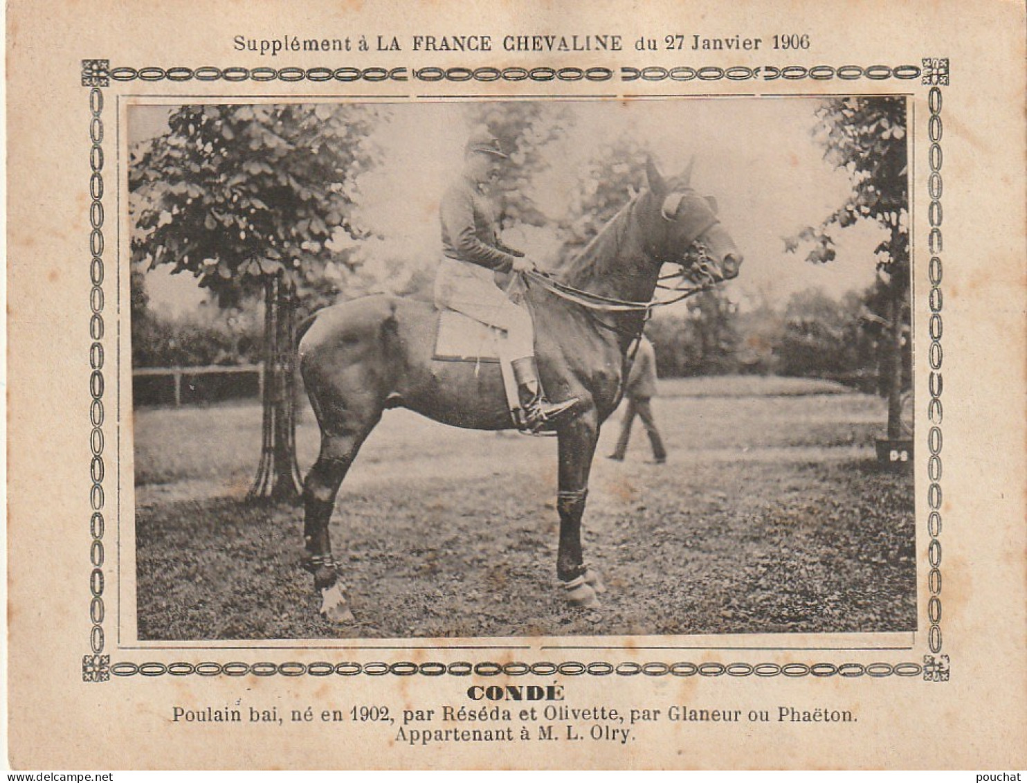 AA+ - " CONDE " - JUMENT BAIE  APPARTENANT A M. L. OLRY - SUPPL. FRANCE CHEVALINE JANVIER 1906 - Paardensport