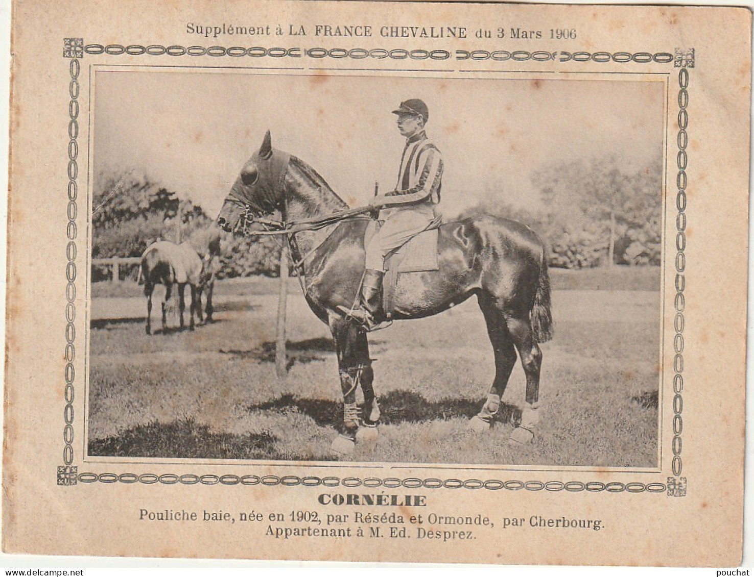 AA+ - " CORNELIE " - POULICHE BAIE  APPARTENANT A M. ED. DESPREZ - SUPPL. FRANCE CHEVALINE MARS 1906 - Hippisme