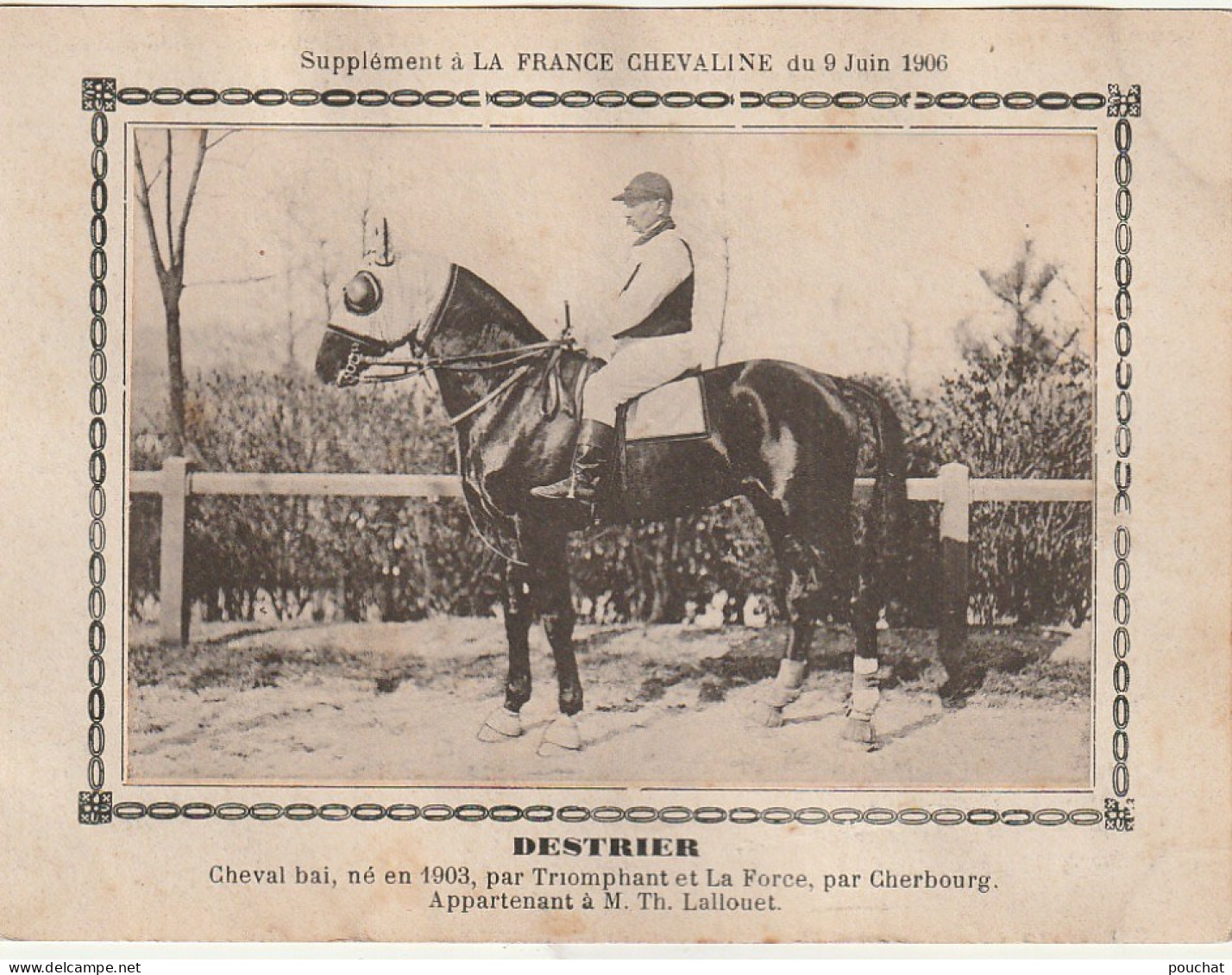 AA+ - " DESTRIER " - CHEVAL BAI  APPARTENANT A M. TH. LALLOUET - SUPPL. FRANCE CHEVALINE  JUIN 1906 - Hípica