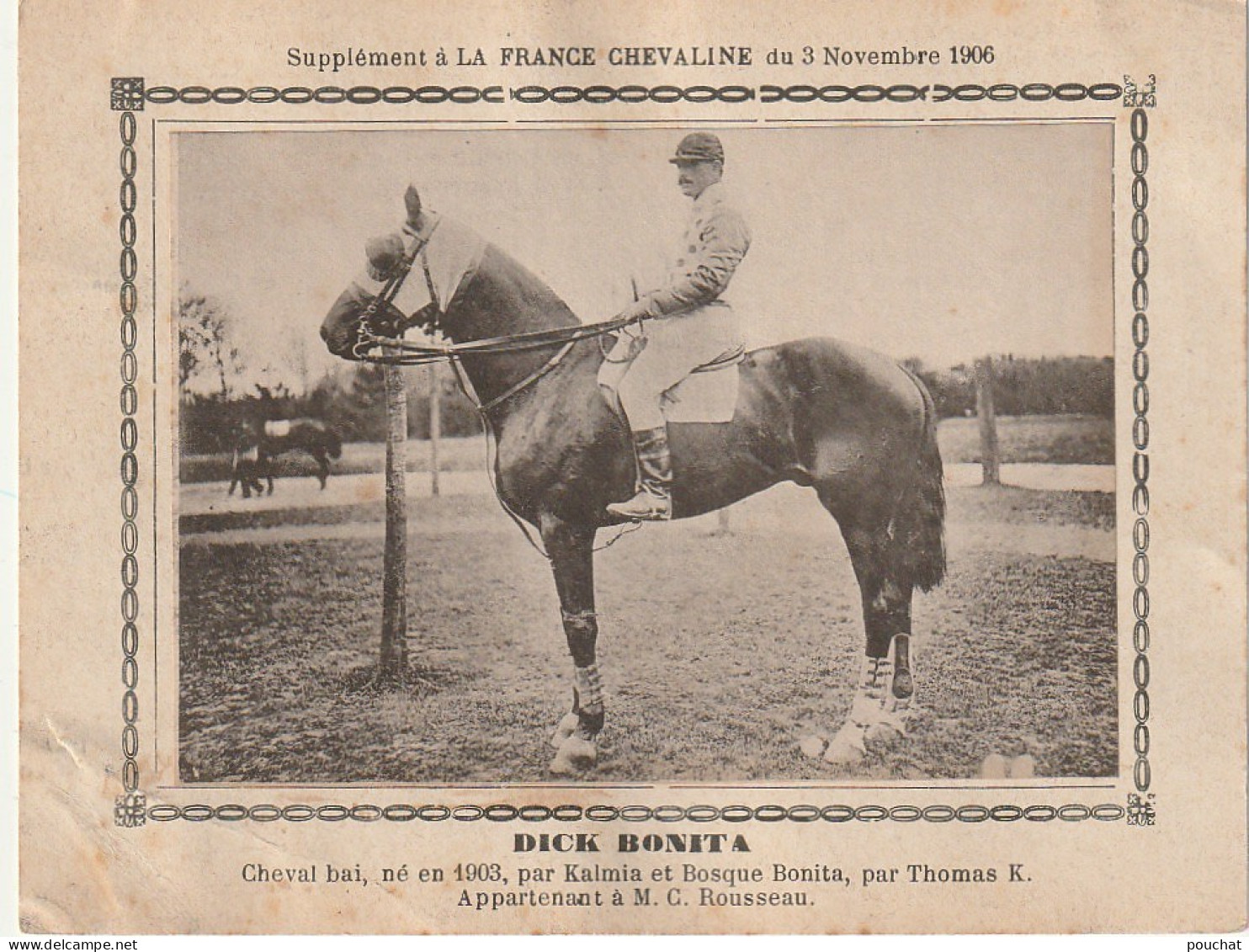 AA+ - " DICK BONITA " - CHEVAL BAI  APPARTENANT A M. C. ROUSSEAU - SUPPL. FRANCE CHEVALINE  NOVEMBRE 1906 - Paardensport