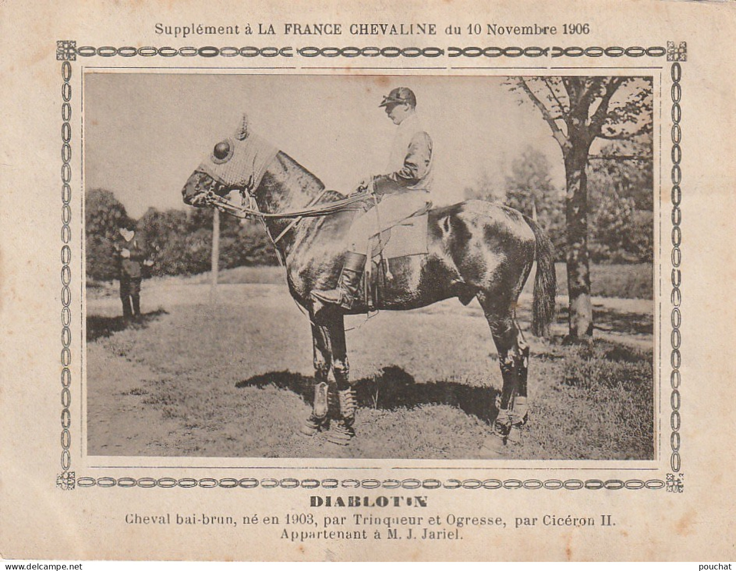 AA+ - " DIABLOTIN " - CHEVAL BAI  BRUN APPARTENANT A M. J. JARIEL - SUPPL. FRANCE CHEVALINE  NOVEMBRE 1906 - Ippica