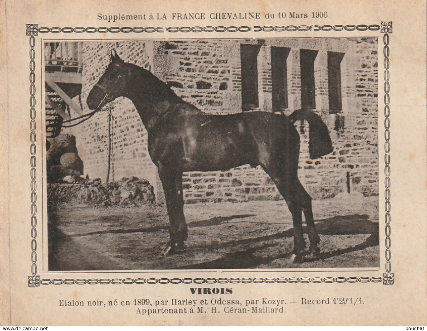 AA+ - " VIROIS " - ETALON NOIR  APPARTENANT A M. H. CERAN MAILLARD - SUPPL. FRANCE CHEVALINE MARS 1906 - Paardensport