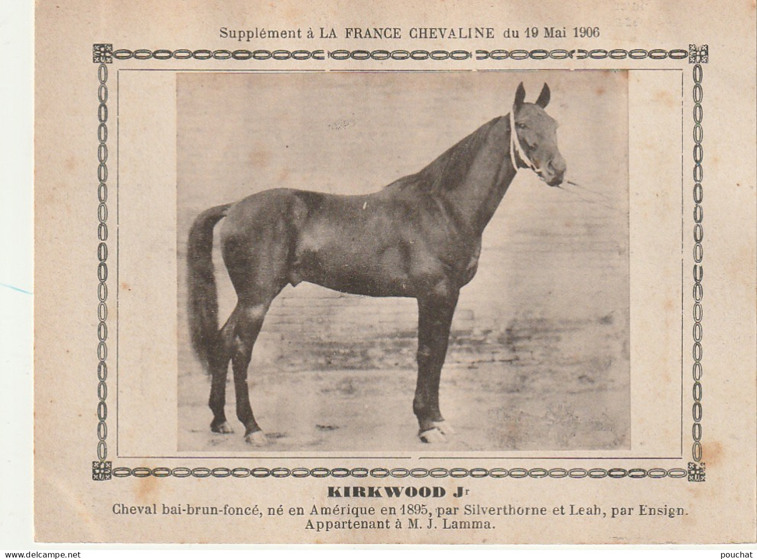 AA+ - " KIRKWOOD Jr " - CHEVAL BAI BRUN  APPARTENANT A M. J. LAMMA - SUPPL. FRANCE CHEVALINE MAI 1906 - Paardensport