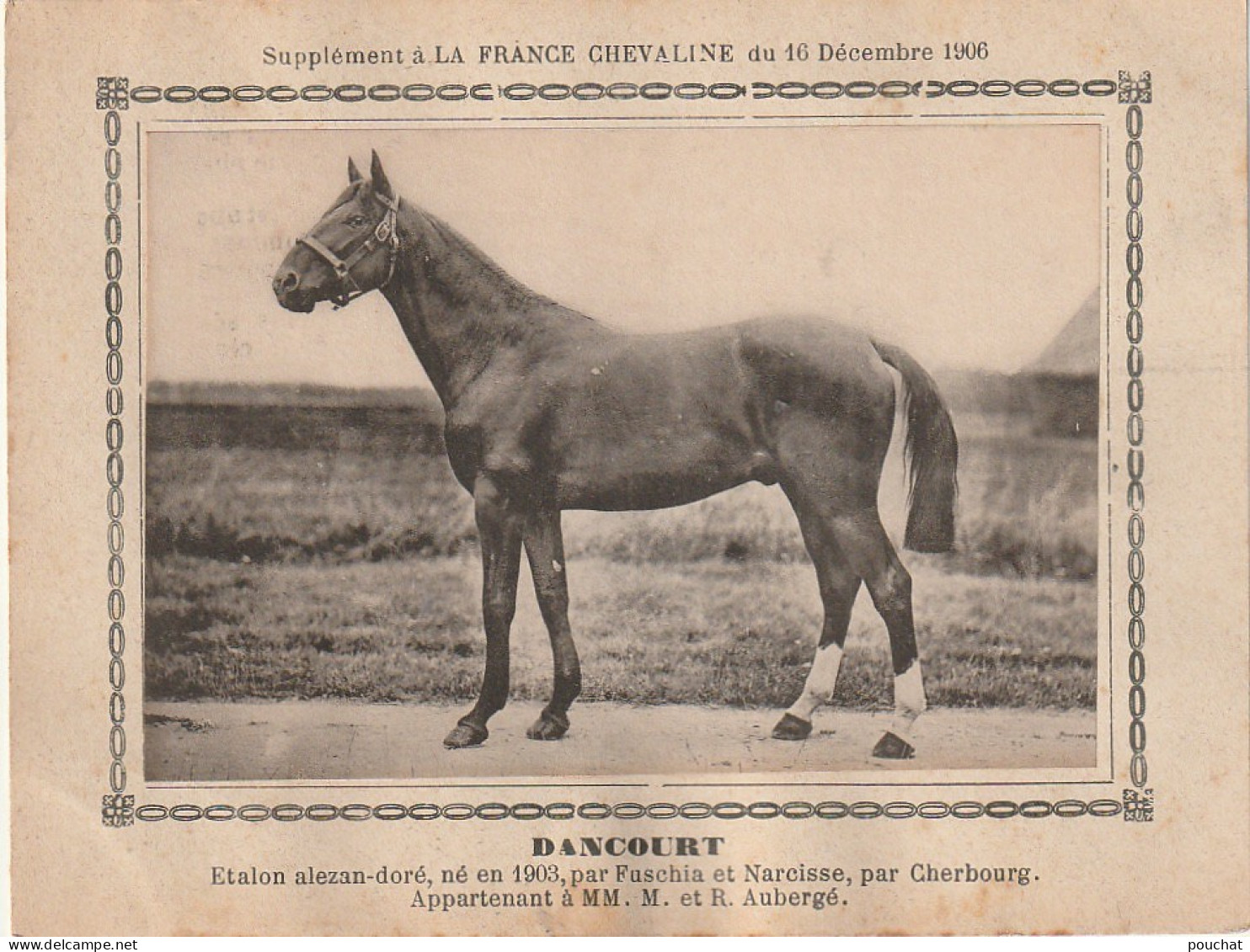 AA+ - " DANCOURT " - ETALON ALEZAN DORE  APPARTENANT A MM. M. ET R. AUBERGE - SUPPL. FRANCE CHEVALINE DECEMBRE 1906 - Hippisme