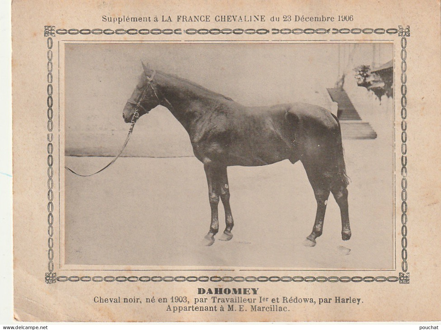 AA+ - " DAHOMEY " - CHEVAL NOIR  APPARTENANT A M. E. MARCILLAC - SUPPL. FRANCE CHEVALINE DECEMBRE 1906 - Paardensport