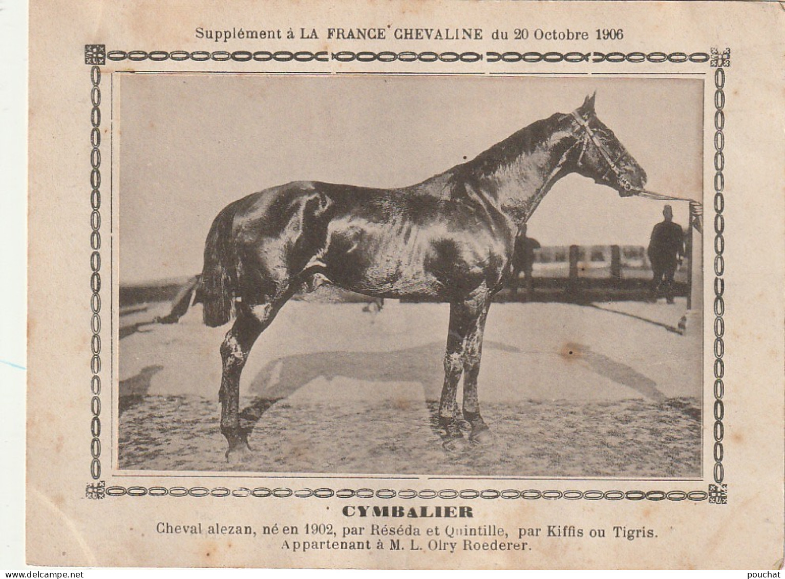 AA+ - " CYMBALIER " - CHEVAL ALEZAN  APPARTENANT A M. L. OLRY ROEDERER - SUPPL. FRANCE CHEVALINE OCTOBRE 1906 - Horse Show