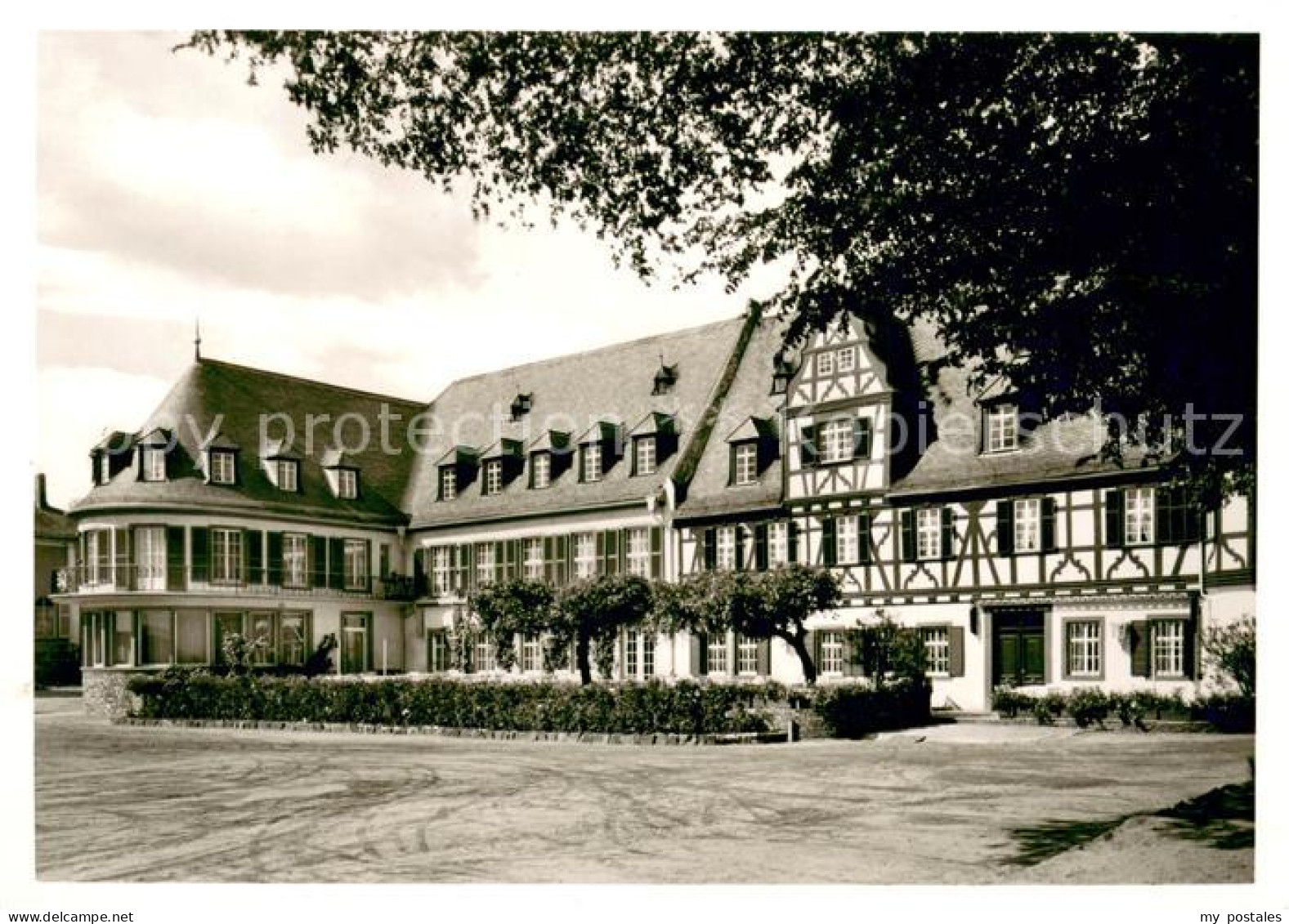 73648840 Oestrich-Winkel Hotel Schwan Historischer Bau 16. Jhdt. Oestrich-Winkel - Oestrich-Winkel