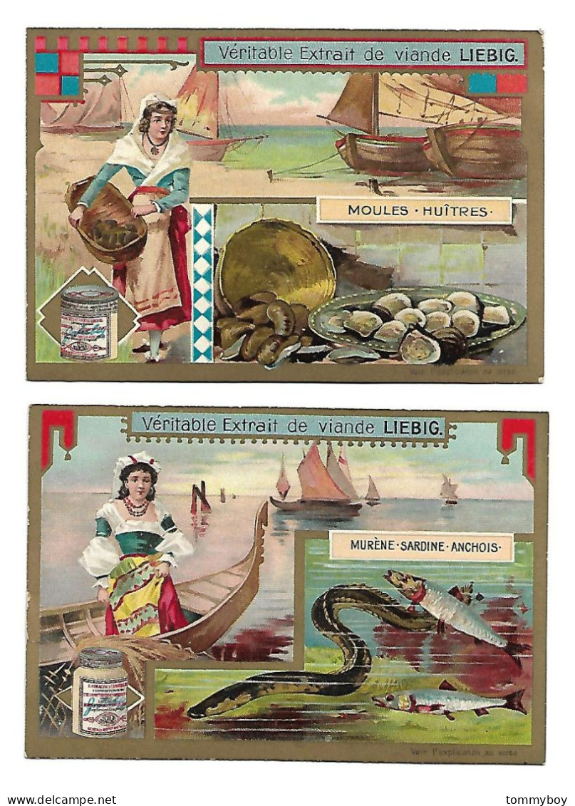 S 779, Liebig 6 Cards, Friandises De Mer Et De Rivière (ref B21) - Liebig