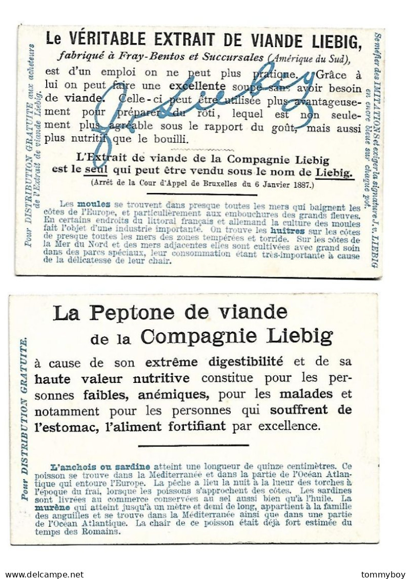S 779, Liebig 6 Cards, Friandises De Mer Et De Rivière (ref B21) - Liebig