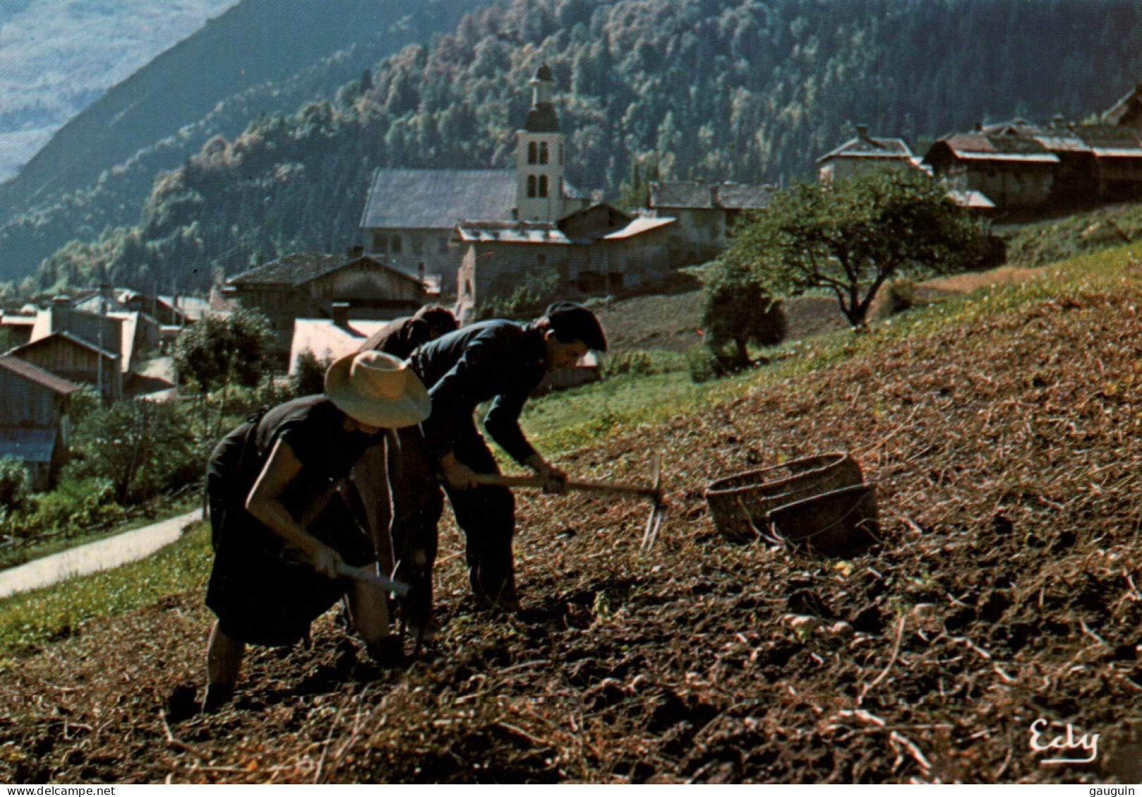 CPM - CULTURES - Récolte Des Pommes De Terre - Photo S.Marmounier - Editions Edy - Cultivation