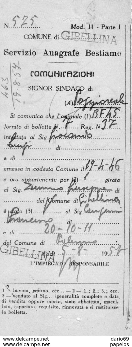 1957  LETTERA CON ANNULLO GIBELLINA TRAPANI - 1946-60: Marcophilia