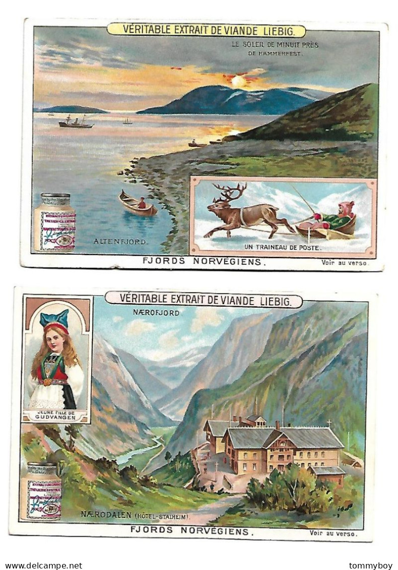 S 778, Liebig 6 Cards, Fjords Norvégiens ( Backsides Have Smalle Stickers ) (ref B21) - Liebig