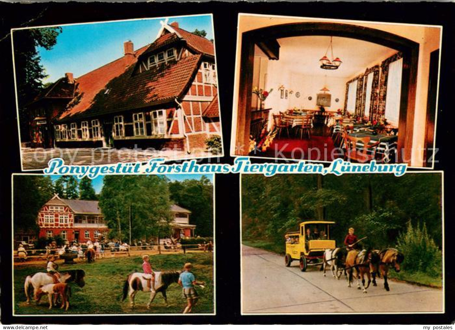 73647946 Lueneburg Ponygestuet Forsthaus Tiergarten Gaststube Kutschfahrt Lueneb - Lüneburg