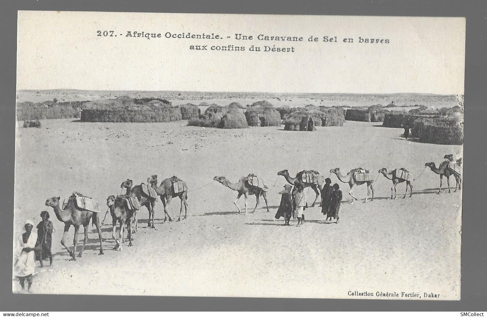 Afrique Occidentale. Caravane De Sel En Barres Aux Confins Du Désert (13693) - Zonder Classificatie