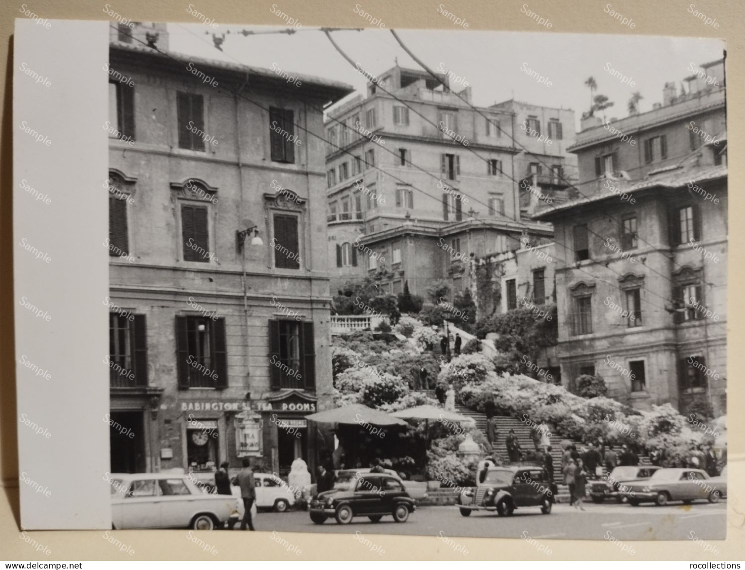 Italia 1963 Foto ROMA Mostra Delle Azalee - Europa