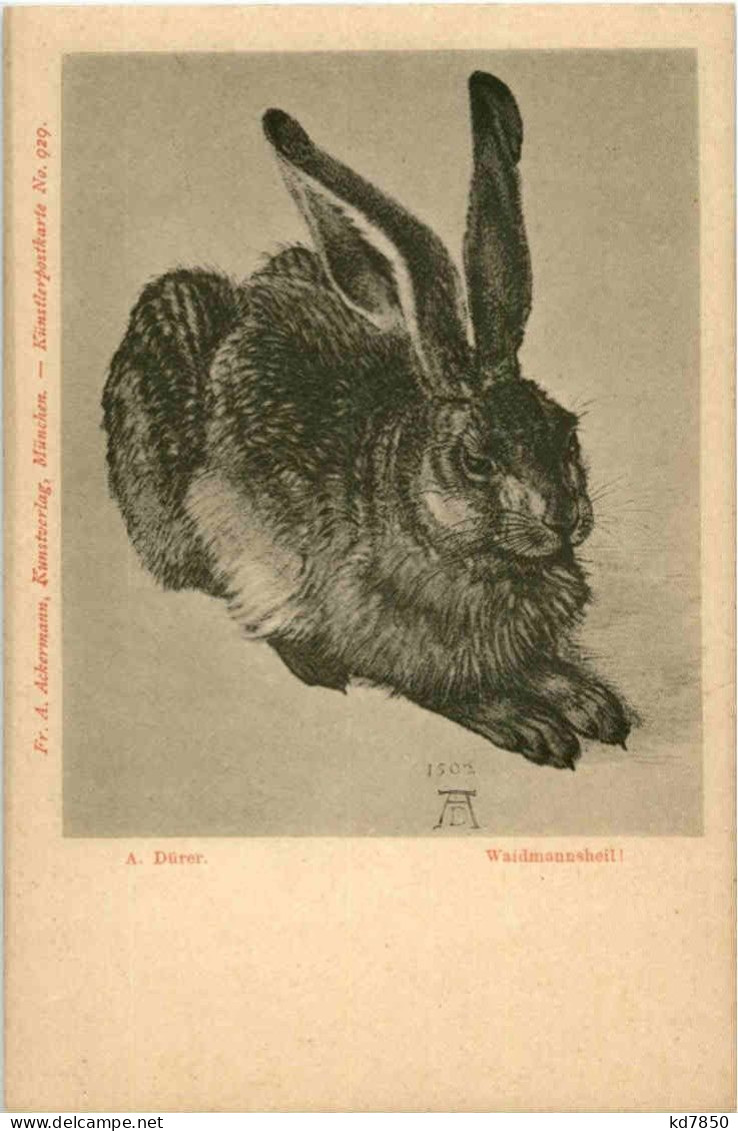Hase - Rabbit - Autres & Non Classés
