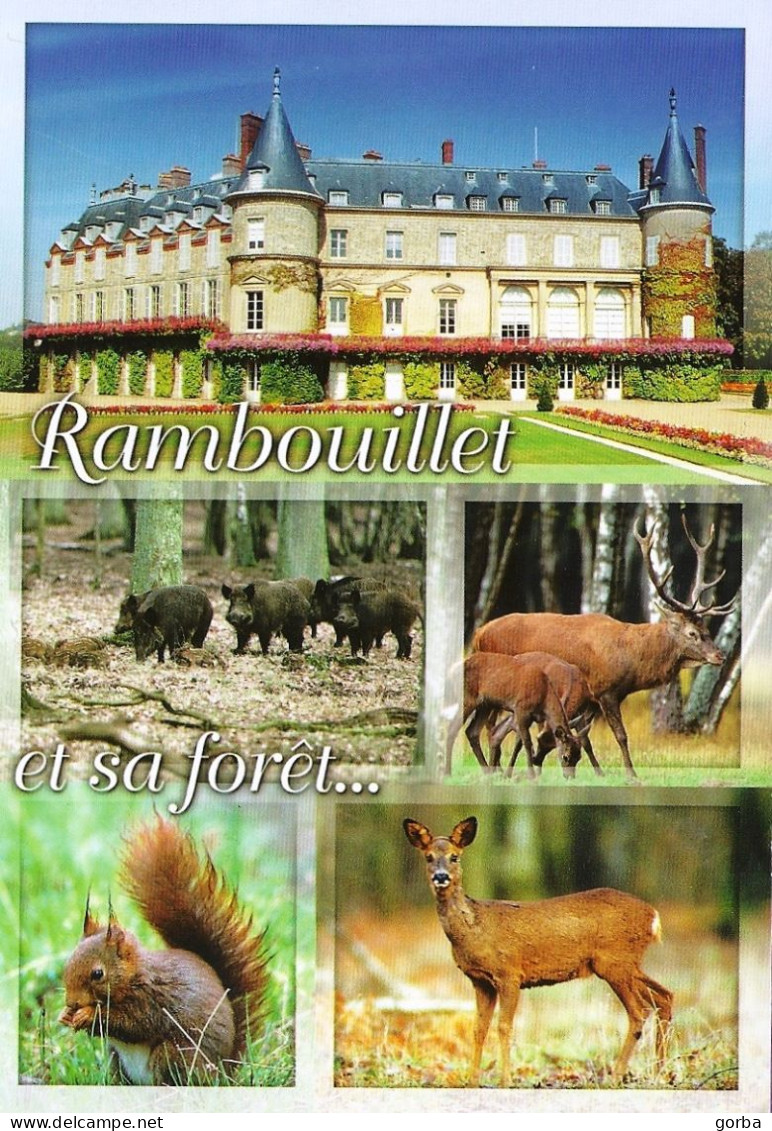 *CPM  -78 - RAMBOUILLET - Et Sa Forêt - Multivues - - Rambouillet