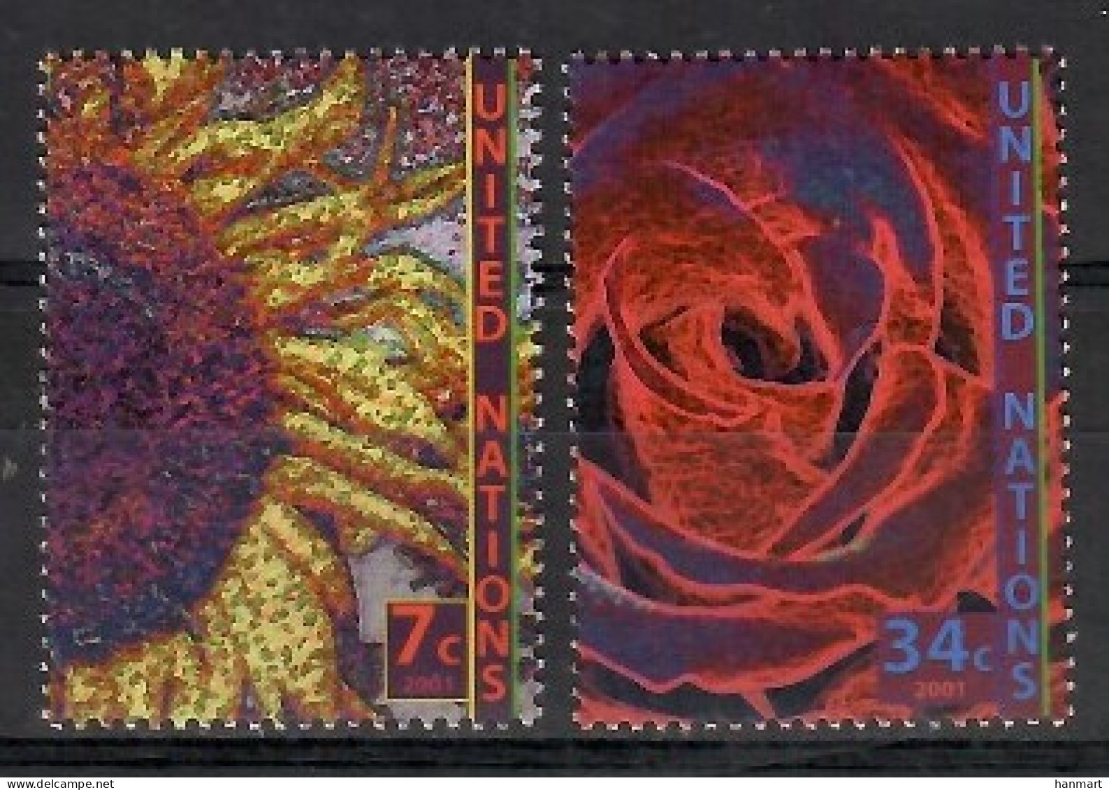 UNO New York 2001 Mi 870-871 MNH  (ZS1 UNN870-871) - Other & Unclassified