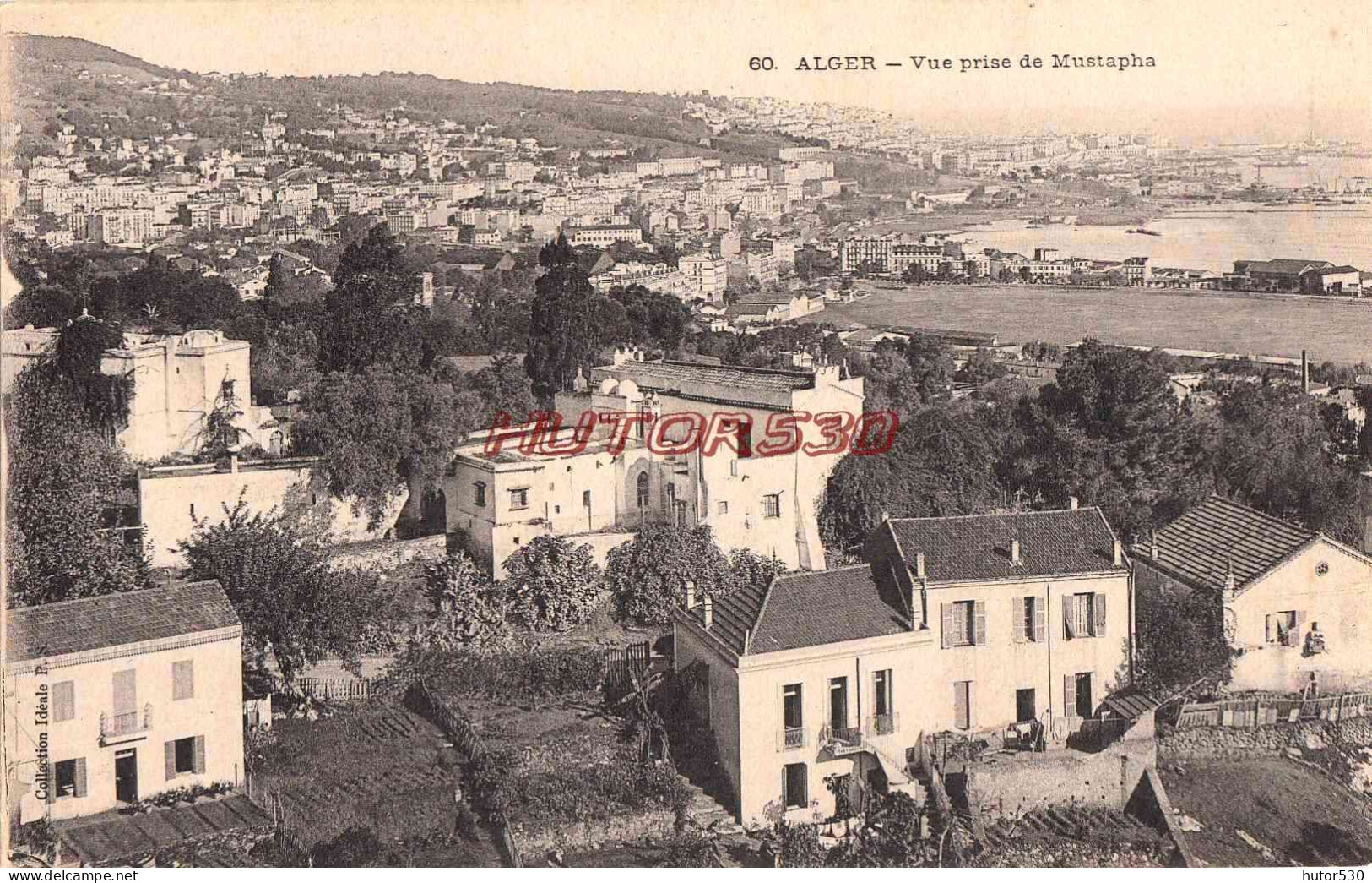 CPA ALGER - VUE PRISE DE MUSTAPHA - Algiers