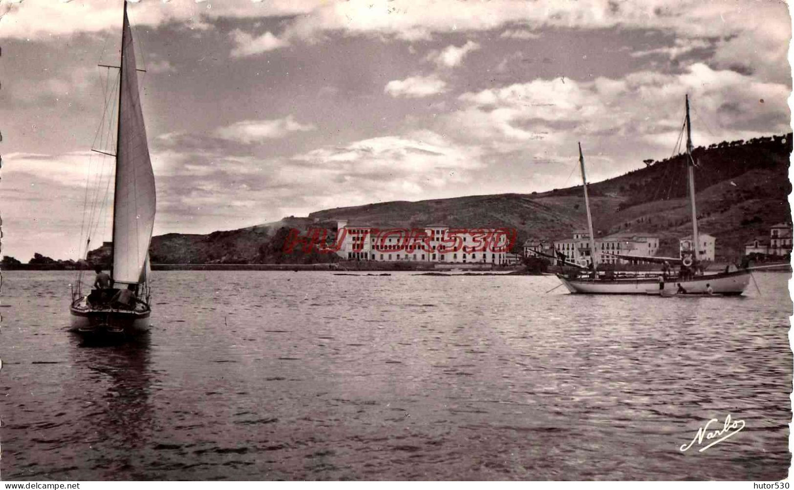 CPSM BANYULS SUR MER - LES VOILIERS DANS LA BAIE - Banyuls Sur Mer