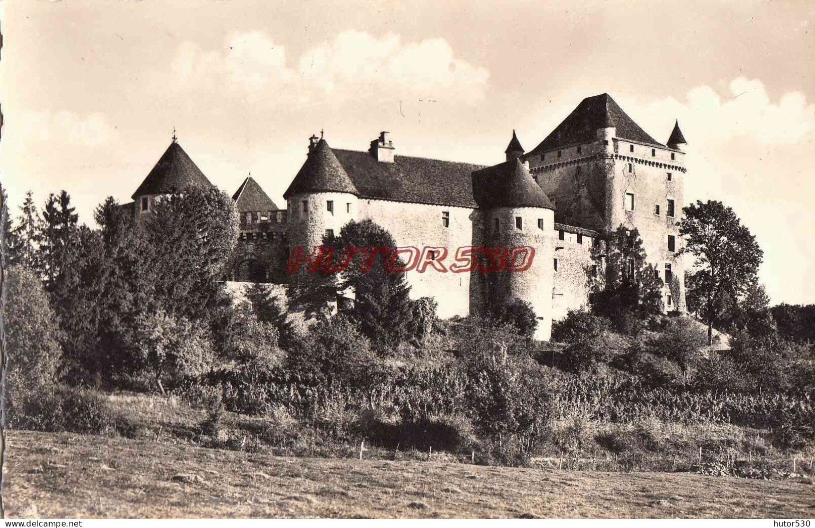 CPSM LONS LE SAUNIER - ENVIRONS - LE CHATEAU DU PIN - Lons Le Saunier