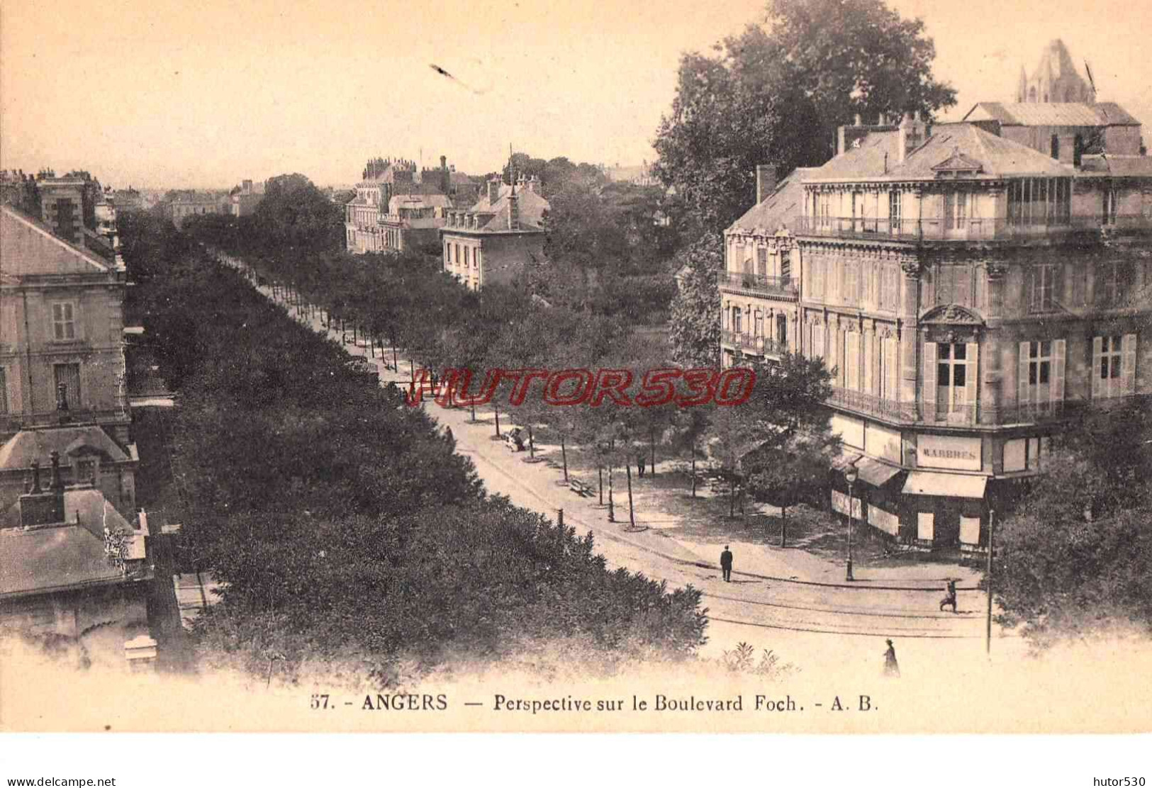 CPA ANGERS - BOULEVARD FOCH - Angers